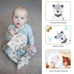 Baby Boy Gift Basket with Blanket, Rattle, Bibs