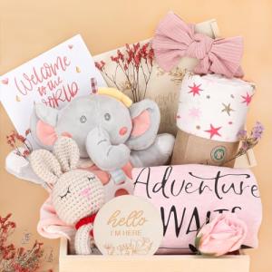 Adorable Baby Girl Gift Basket for Newborns