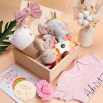 Adorable Baby Girl Gift Basket for Newborns
