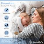 Baby Boy Milestone Blanket with Stickers, 60"x40