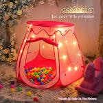 DISHIO Ball Pit and Tent Set for Kids