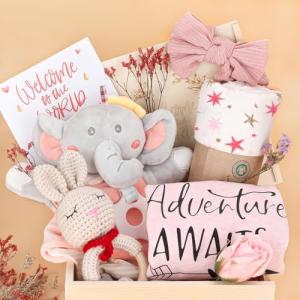 Adorable Baby Girl Gift Basket for Newborns