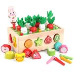 Montessori Wooden Shape Sorting Toys for Toddlers