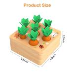 Wooden Montessori Shape Sorting Toy for Toddlers