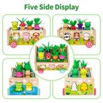 Montessori Wooden Shape Sorting Toys for Toddlers