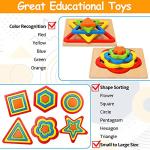 Montessori Wooden Shape Sorting Puzzle for Toddlers