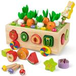 Montessori Wooden Shape Sorter Carrot Harvest Toy