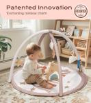 Baby Play Gym Mat with Toys and Milestone Cards