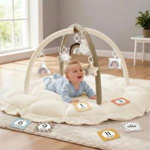 5-in-1 Plush Baby Play Gym with Toys