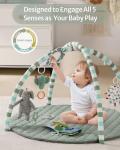Blissful Diary Baby Play Gym with 6 Toys