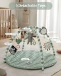 Blissful Diary Baby Play Gym with 6 Toys