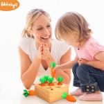 Wooden Montessori Shape Sorting Toy for Toddlers