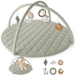 Adorable Baby Play Gym with Tummy Time Mat