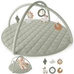 Adorable Baby Play Gym with Tummy Time Mat