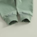 Dinosaur Sweatshirt and Pants Set for Toddlers