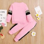 Toddler Girl Leopard Print Sweatshirt & Pants Set