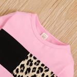 Toddler Girl Leopard Print Sweatshirt & Pants Set