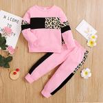 Toddler Girl Leopard Print Sweatshirt & Pants Set