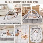 5-in-1 Plush Baby Play Gym and Activity Mat