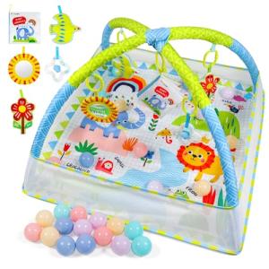 Dr. Rapeti Baby Play Gym with Ball Pit