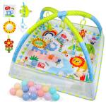 Dr. Rapeti Baby Play Gym with Ball Pit