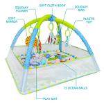 Dr. Rapeti Baby Play Gym with Ball Pit