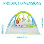 Dr. Rapeti Baby Play Gym with Ball Pit