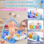 Windidi Baby Gym Play Mat with Sensory Toys