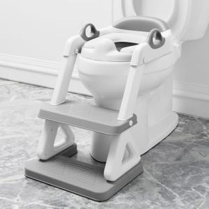 Potty Training Seat with Step Stool Ladder
