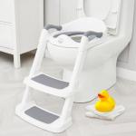Potty Training Seat with Step Stool Ladder