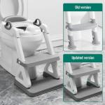 Potty Training Seat with Step Stool Ladder