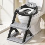 Skyroku Potty Training Seat with Step Stool