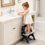 Skyroku Potty Training Seat with Step Stool