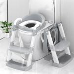 Potty Training Seat with Step Stool Ladder
