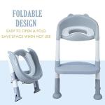 Potty Training Seat with Step Stool for Kids