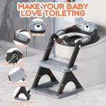 Skyroku Potty Training Seat with Step Stool