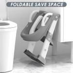 Potty Training Seat with Step Stool Ladder