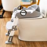 Potty Training Seat with Step Stool for Kids