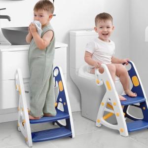 2-in-1 Potty Training Seat with Step Stool