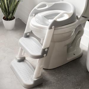 Jool Baby Potty Training Seat with Step Ladder