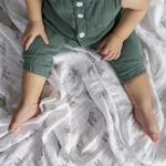 aden + anais Organic Cotton Swaddle Blanket Set