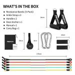 PROIRON 14-Piece Resistance Bands Set with Accessories