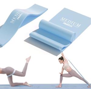 PROIRON 2M Gray-Blue Resistance Band Set