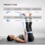 PROIRON 2M Gray-Blue Resistance Band Set