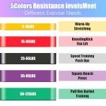 QuokkaChic Skin-Friendly Resistance Bands for All Workouts