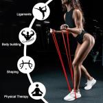 MR.TIMELAG Resistance Bands with Handles and Door Anchor