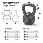 PROIRON Cast Iron Kettlebell for Home Fitness