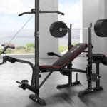 BLACK LORD 14-in-1 Adjustable Weight Bench