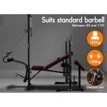 BLACK LORD 14-in-1 Adjustable Weight Bench