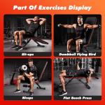 Adjustable Weight Bench for Home Gym Workouts